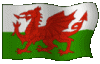 Welsh flag