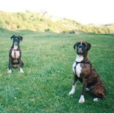 JAKE and EBONY sitting on the grass