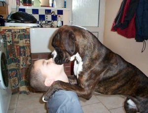 Shane and TYSON having a kiss